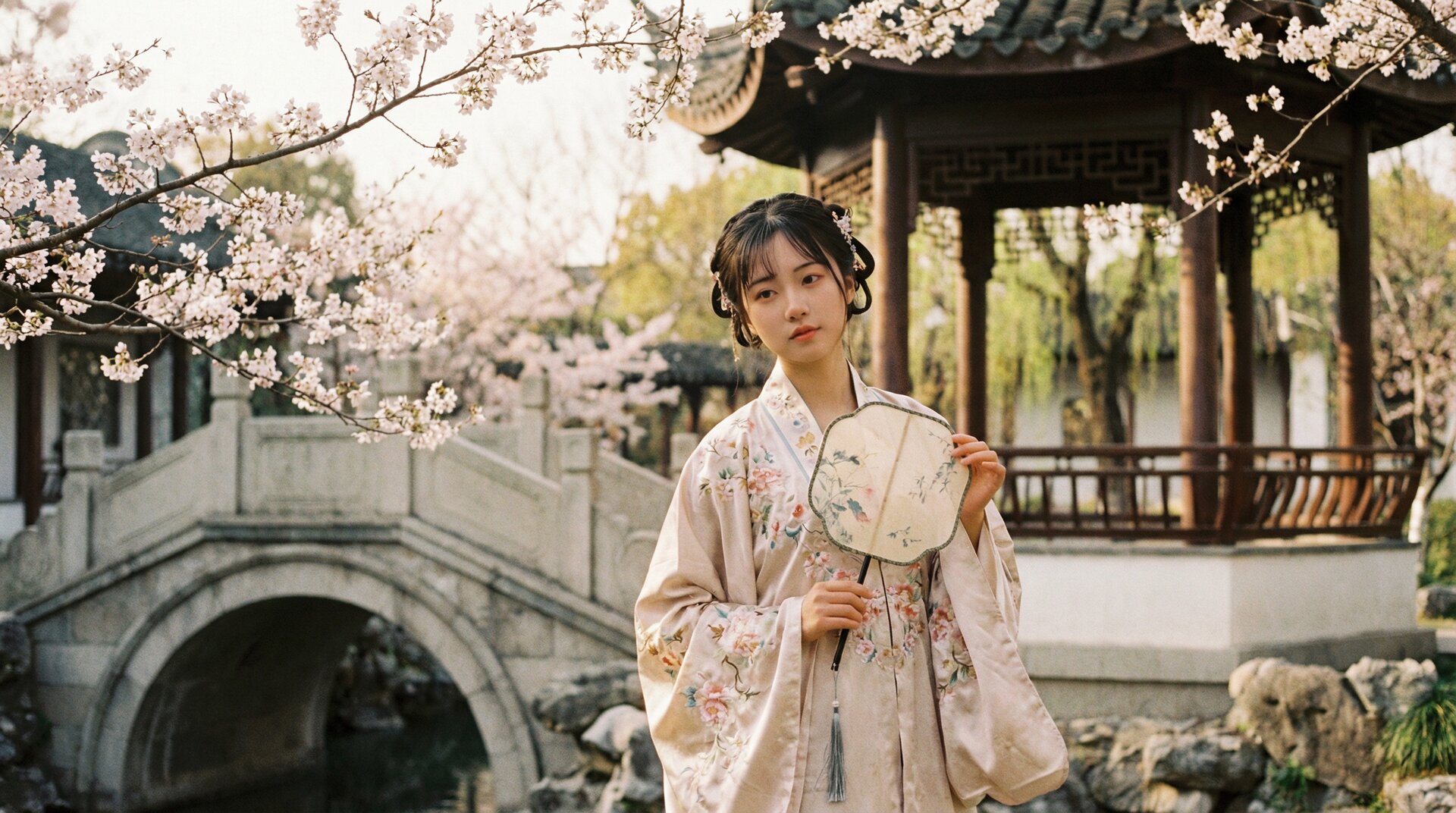 大象传媒古风视频